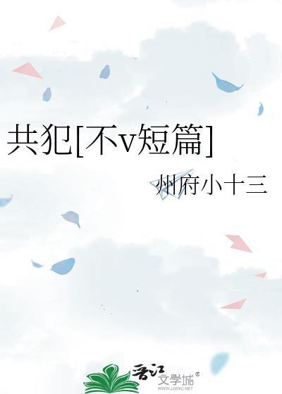 共犯关系完整阅读