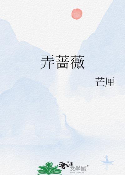 弄蔷薇讲了什么
