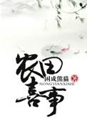 穿越之农田喜事 讲什么