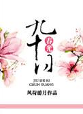 九十日春光讲的什么
