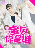宝贝你是谁番外篇二胎