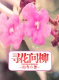 何寻何寻最新章节免费阅读