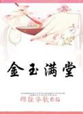 穿越之金玉满堂林珑