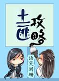 土匪攻略讲什么