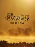 炮灰在九零年代txt