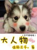 大人物 电视剧