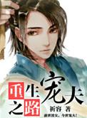 重生宠夫之路全文