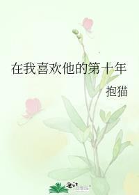 在我喜欢他的第十年番外