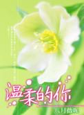 温柔的你歌词含义