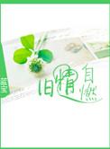 旧情复燃怎么办