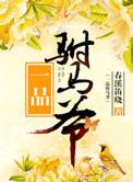 一品附马爷