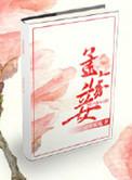 孟家妾大结局原著