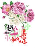 穿越八十年代农家媳妇