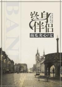 终生伴侣是什么意思?