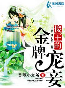 傻王宠妻无度