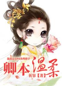 卿本温柔的含义