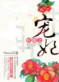 红楼之宠妃TXT笔趣阁