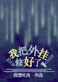 我的外挂跑了