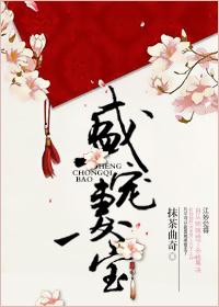 盛宠妻宝类似的甜宠文
