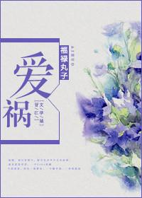 爱祸福禄丸子免费阅读
