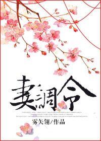 妻调令 雾矢翊番外