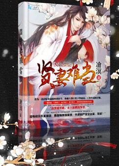 贤妻难当txt番外