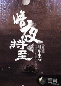 暗夜将至在线观看全集免费