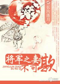 将军之妻不可欺什么意思