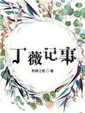 丁薇记事书评