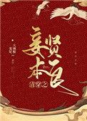 清穿之妾本贤良作者宠妃大辣椒