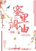 蜜里调油/妾侍手册 百度