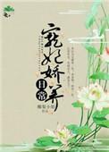 宠妃娇养日常好看吗