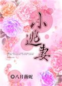 小逃妻by焦糖瓜子全文免费阅读