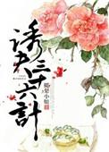 诱夫三十六计梨酒儿结局