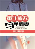 重生渣夫与学霸妻 醉小仙