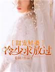 冷少绝宠甜妻