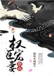 权臣宠妻的推荐