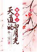 她成了天道的白月光在线全文免费阅读