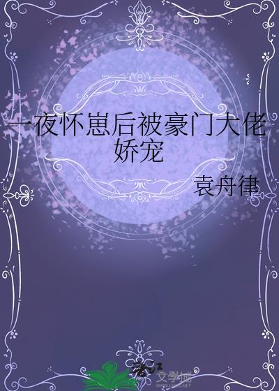 一夜怀崽后被豪门大佬娇宠作者袁舟
