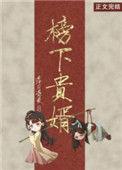 榜下贵婿 晋江