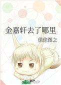 金嘉轩去了哪里笔趣阁
