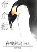 帝企鹅在线养鸟88