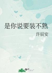 是你说要装不熟TXT百度提取码