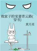 败家子的宠妻青云路(穿书)作者黄月亮