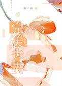 完美夫妻美剧