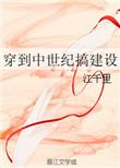 穿到中世纪搞建设在线阅读