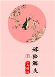 嫁给鳏夫txt