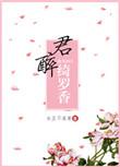 倾城小佳人内容