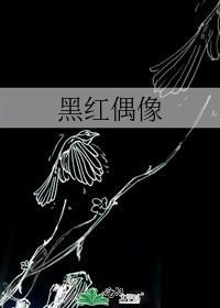 blacksouls红偶像怎么打