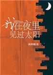 我在夜里见过太阳完整版
